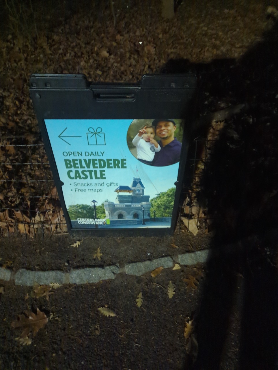 Puzzling Adventures near Carmansville Historical